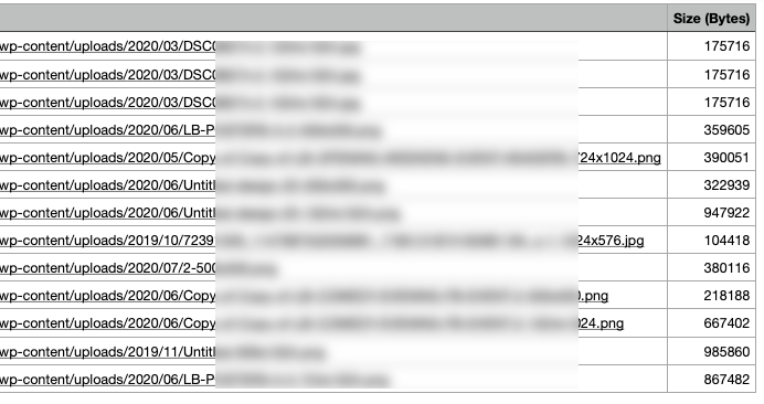 A site audit highlighting oversized images that slow a website down